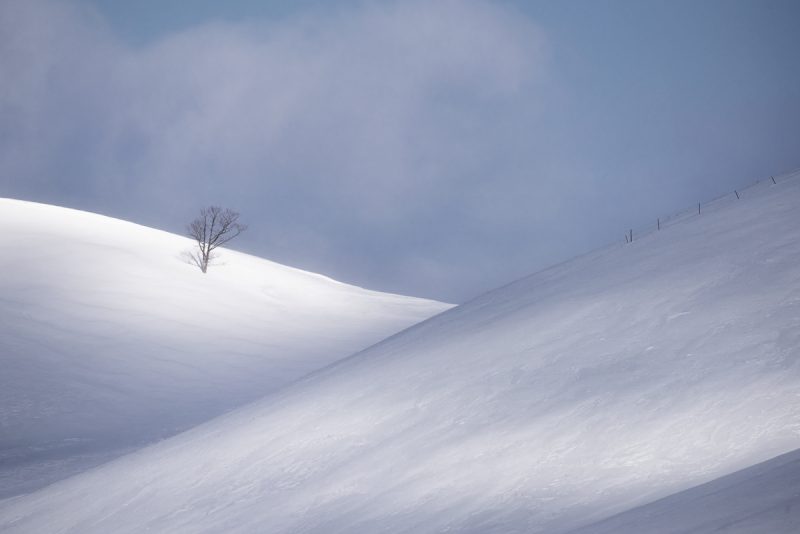 Silent Contours