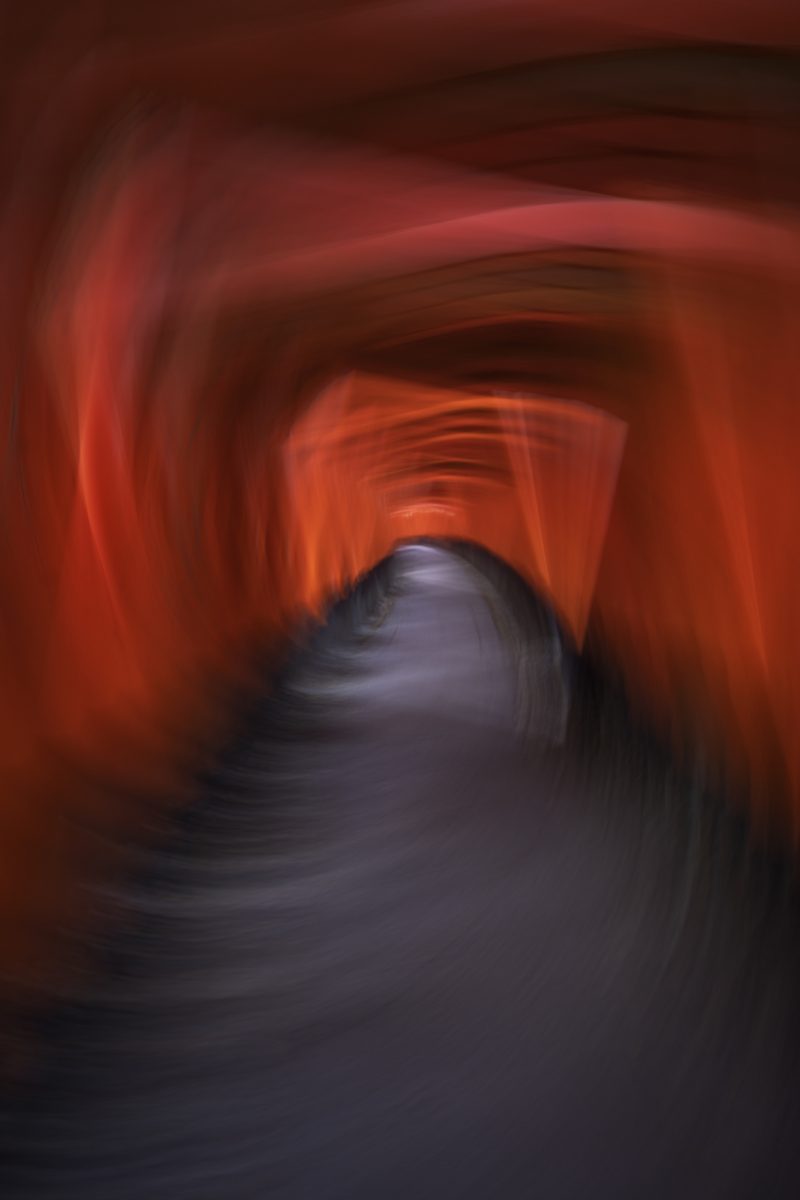 Through Fushimi Inari