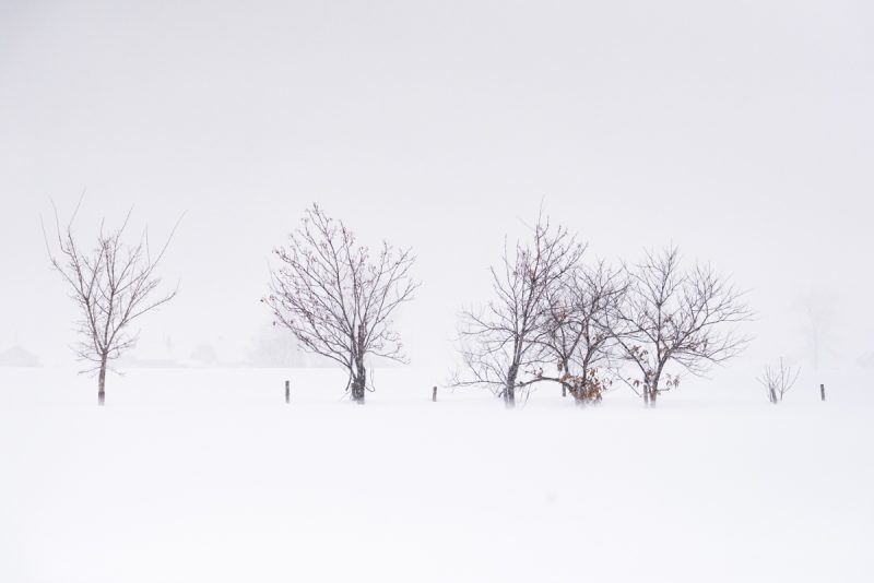 White Distance IV