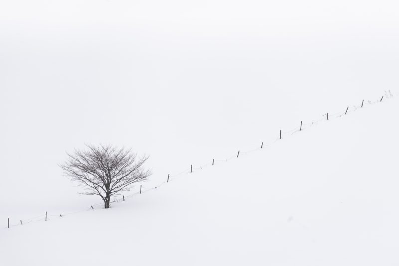 Ascending Silence