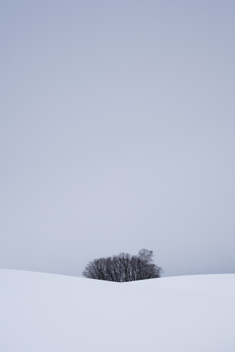 White Distance