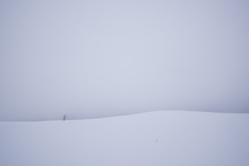 White Distance III