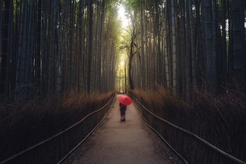 The Quiet Path