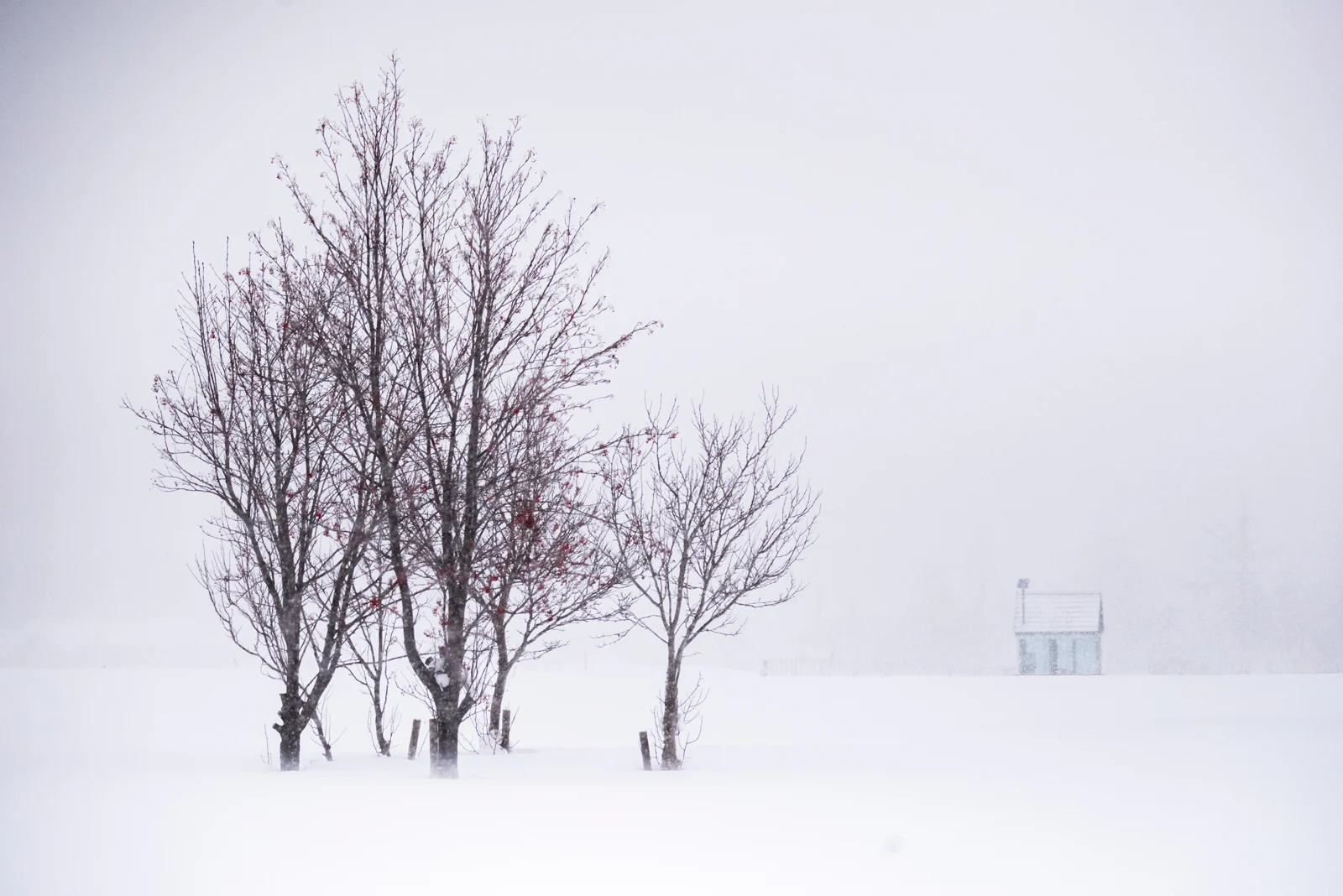 The Minimalist Series