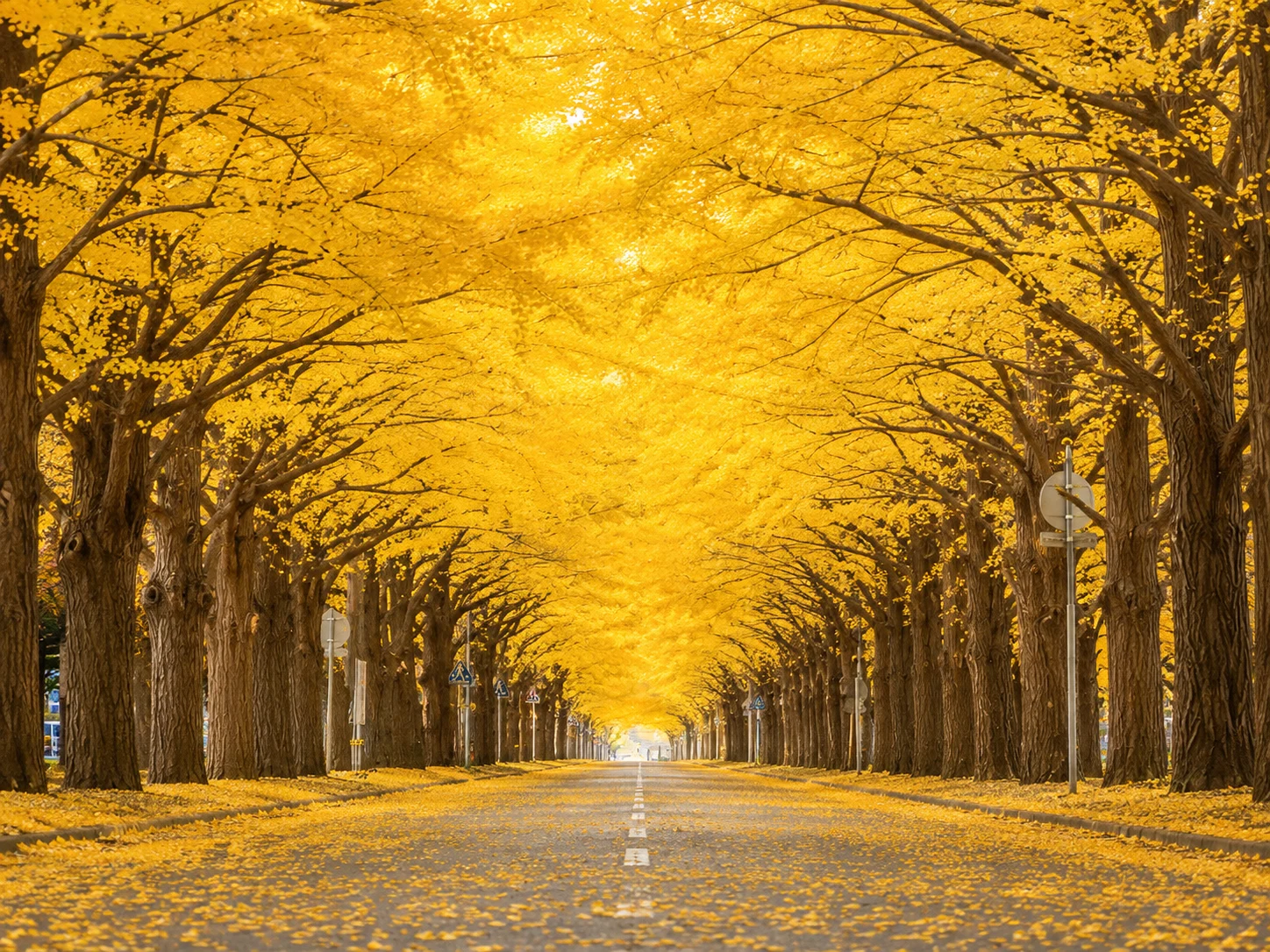 Fine art photograph from the Japan Landscapes collection