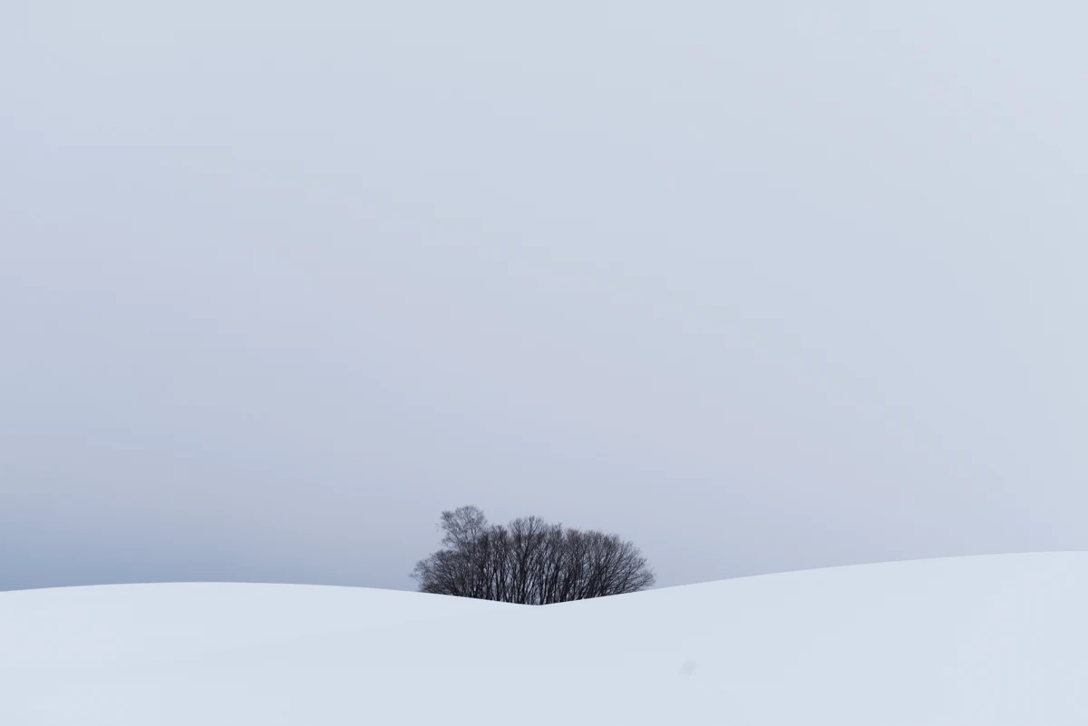 Fine art photograph from the Minimal Japan collection