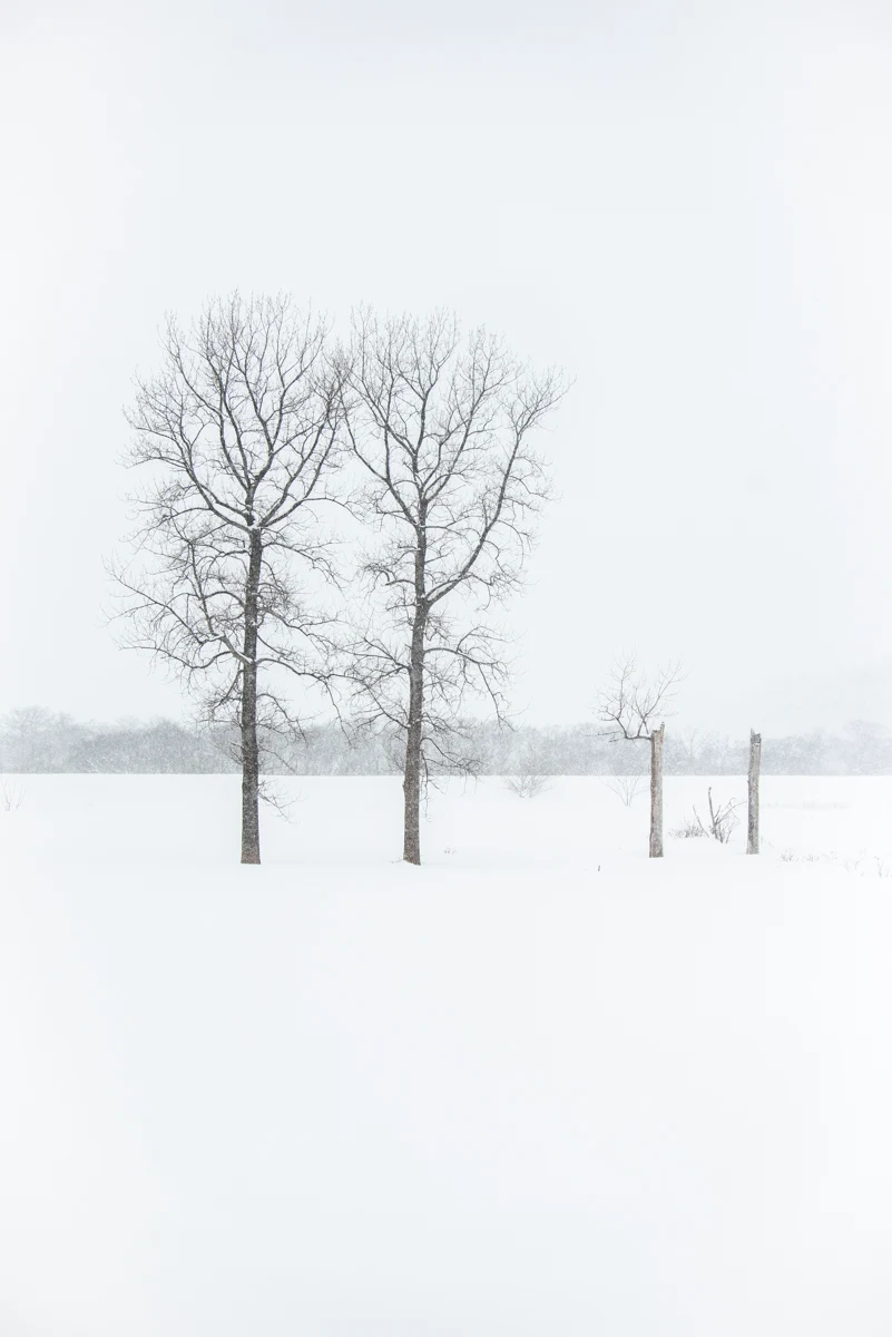 Fine art photograph from the Minimal Japan collection