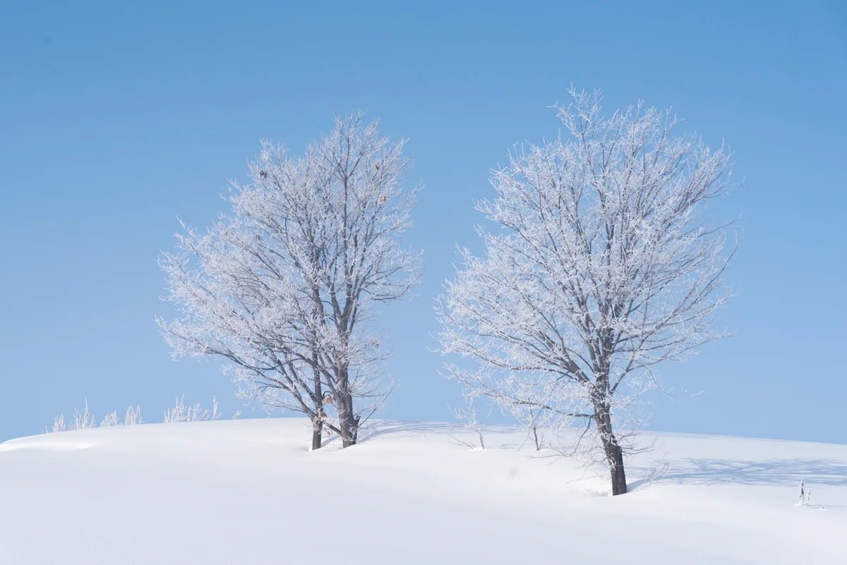 Fine art photograph from the Minimal Japan collection