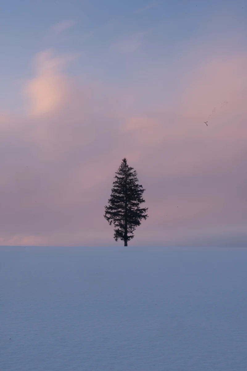 Fine art photograph from the Minimal Japan collection