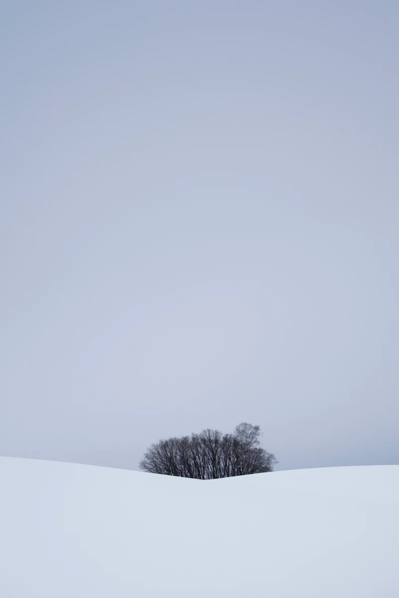 Fine art photograph from the Minimal Japan collection