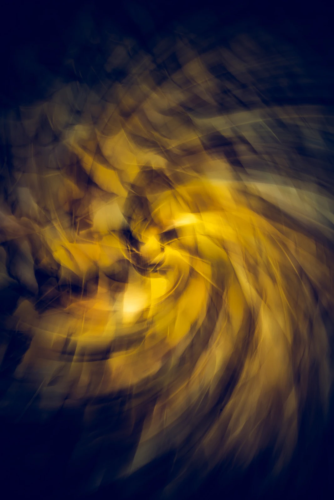 Fine art photograph from the Motion Japan collection