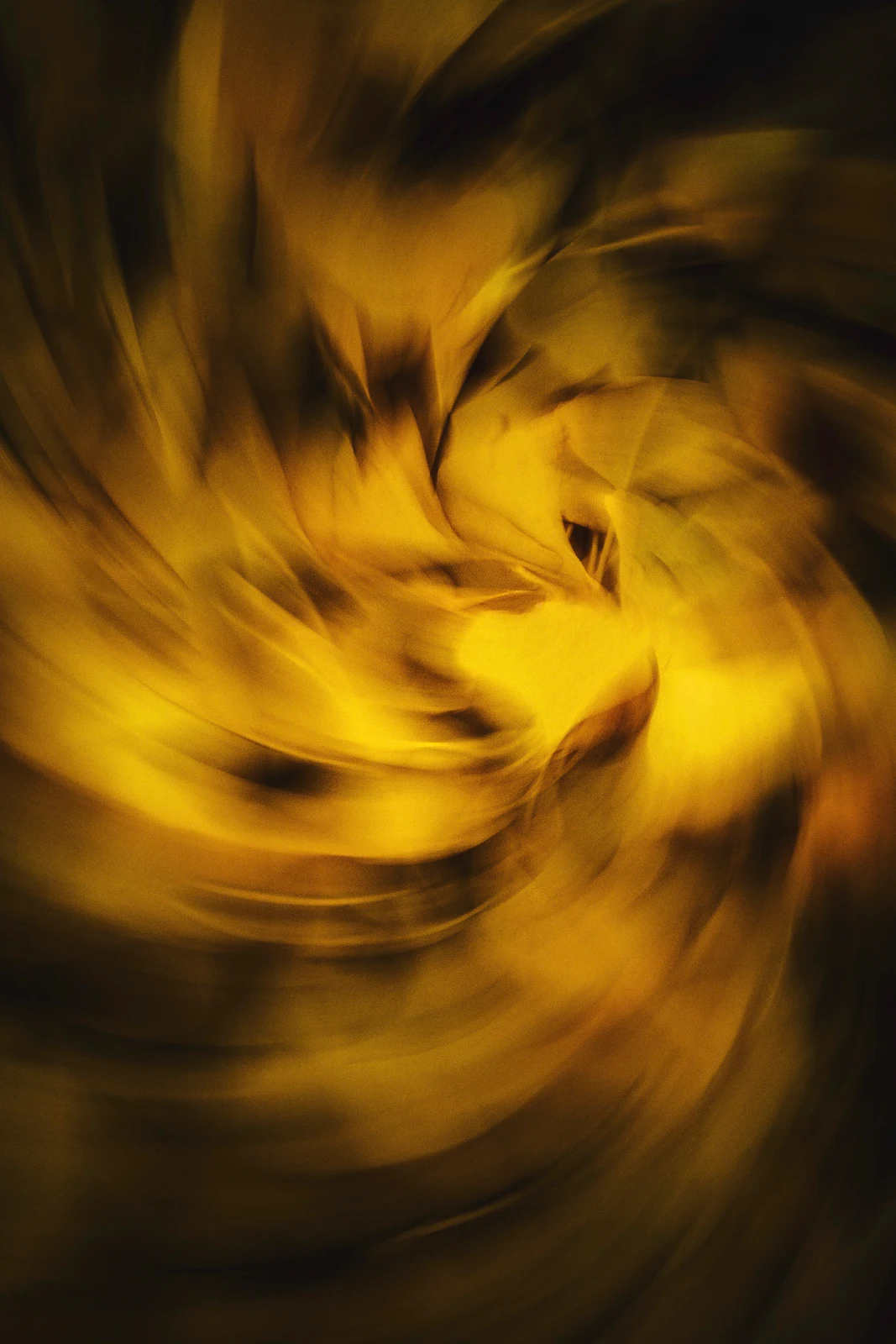 Fine art photograph from the Motion Japan collection