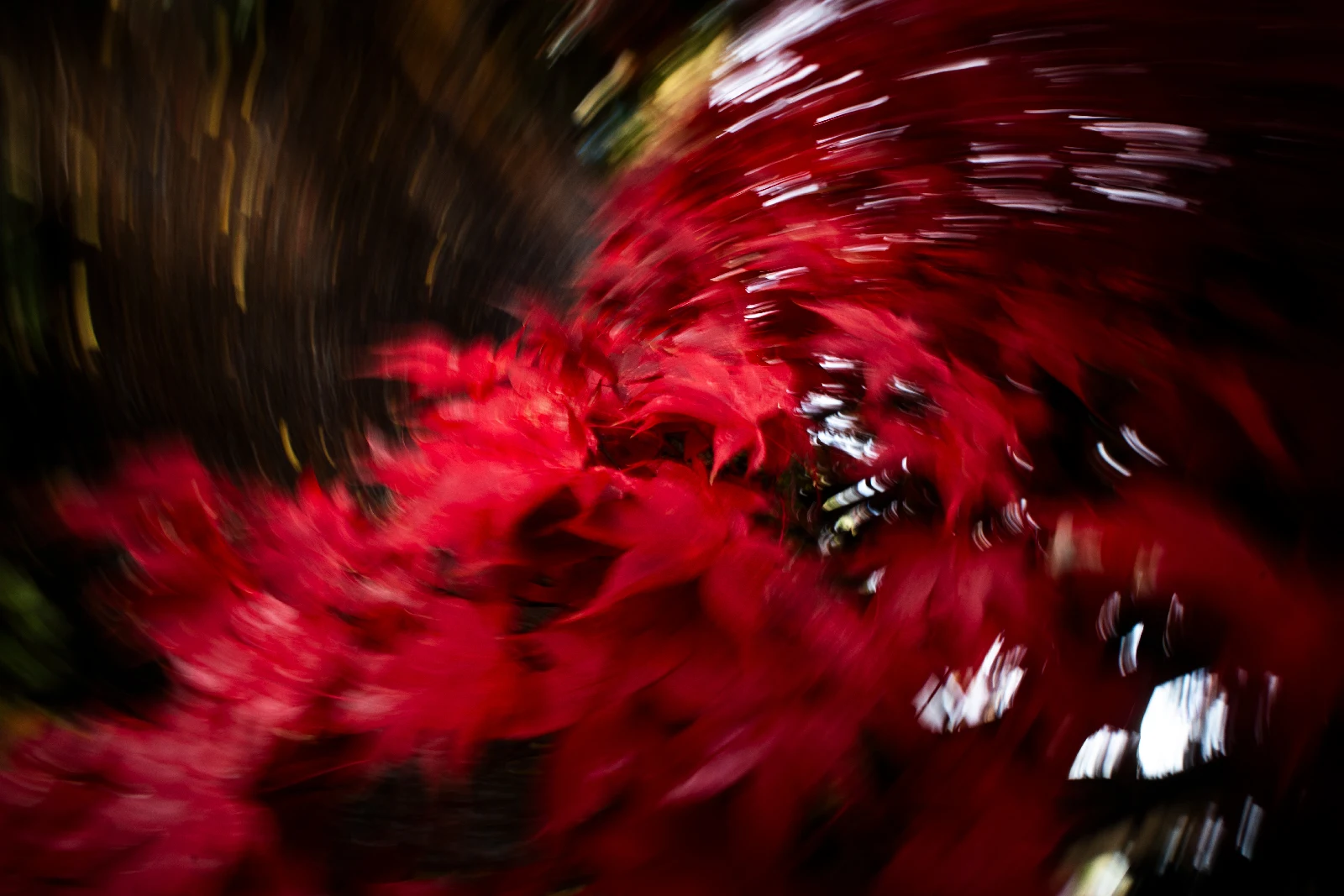 Fine art photograph from the Motion Japan collection